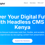 Headless CMS Development Kenya