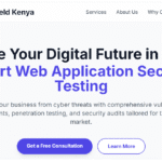 Web Application Security Testing Kenya: