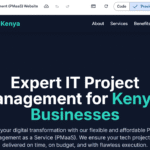 IT Project Management Kenya (PMaaS):