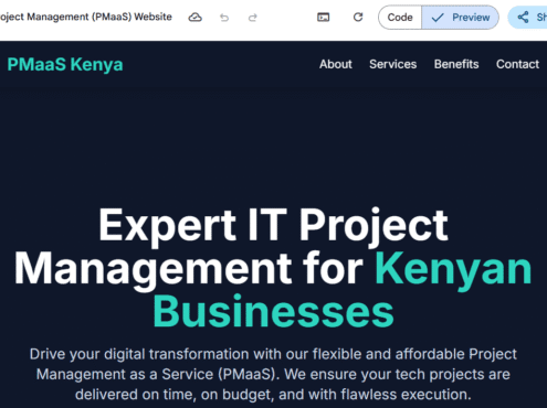 IT Project Management Kenya (PMaaS):
