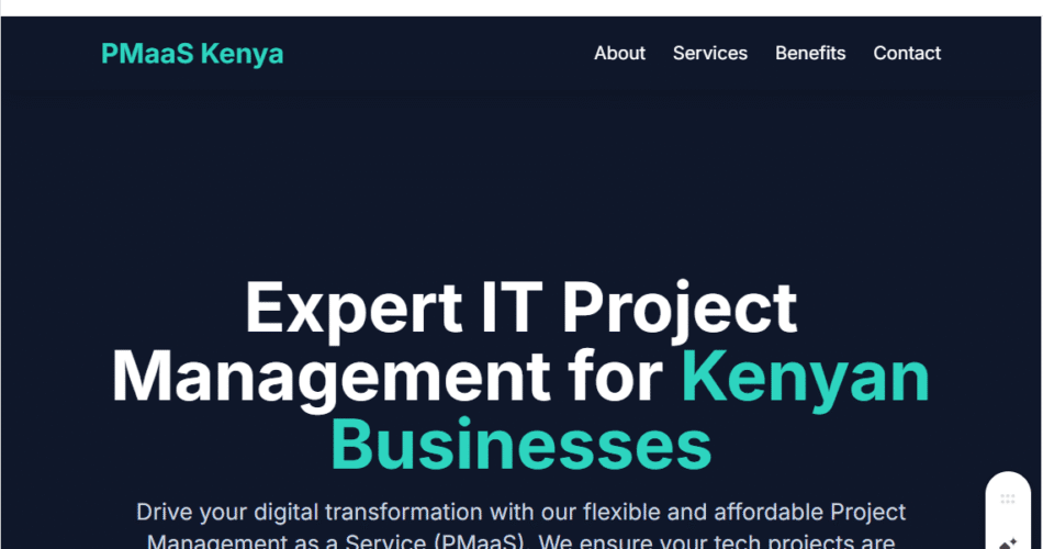 IT Project Management Kenya (PMaaS):