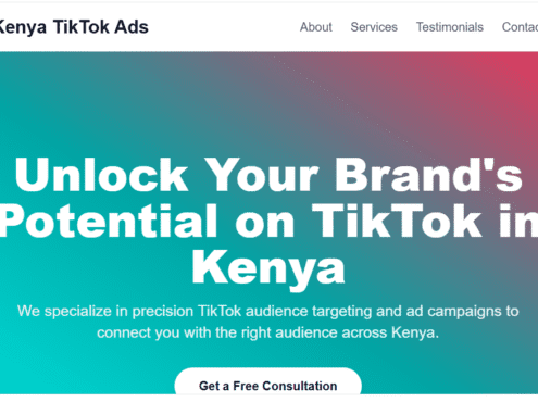 TikTok Audience Targeting in Kenya