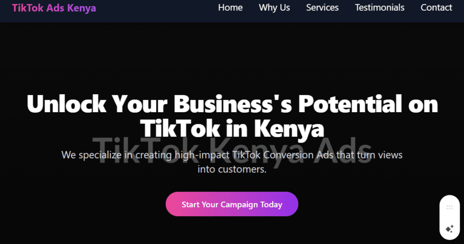 TikTok Conversion Ads in Kenya