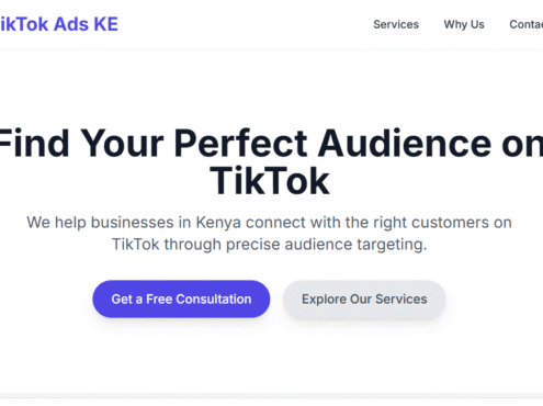 TikTok Custom Audience Creation in Kenya