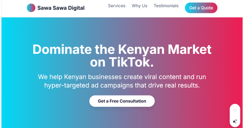 TikTok Lookalike Audience Creation in Kenya