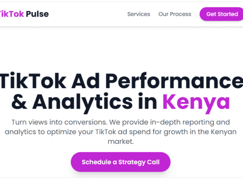 TikTok Ad Performance Reporting & Analytics in Kenya