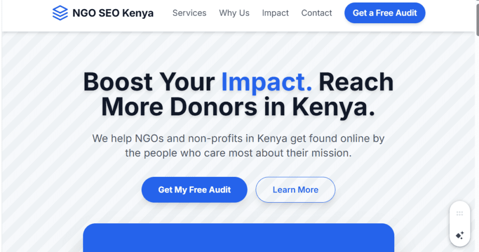 SEO FOR NGOs IN KENYA