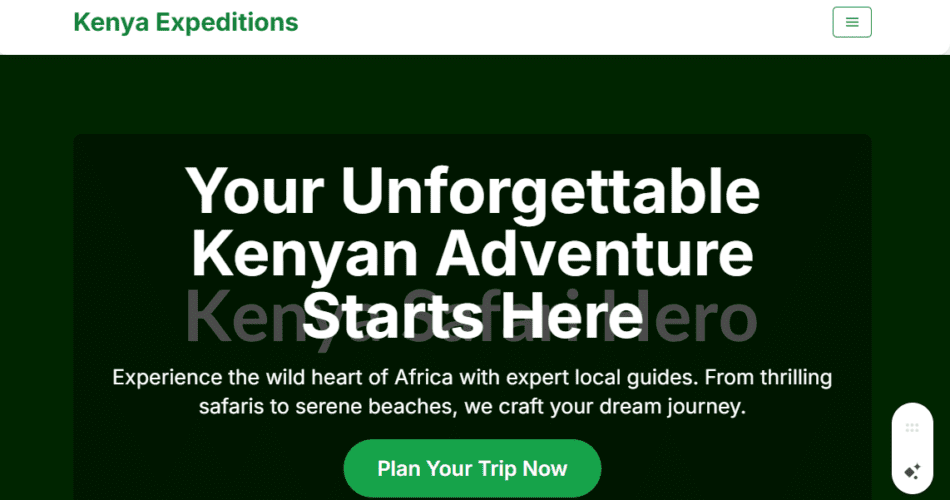 SEO for Tour Guides in Kenya