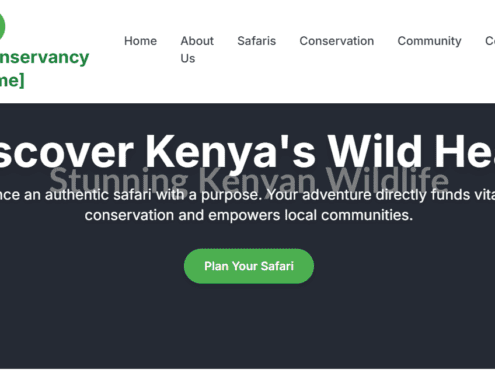SEO for Wildlife Conservancies in Kenya