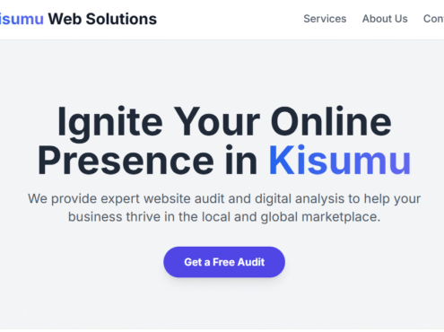 Website Audit & Analysis Kisumu
