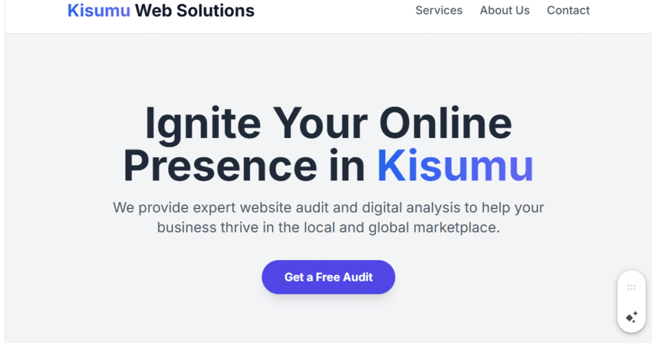 Website Audit & Analysis Kisumu