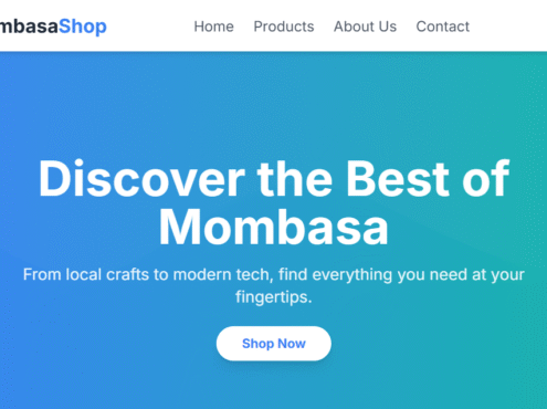 E-commerce Website Design & Development Mombasa